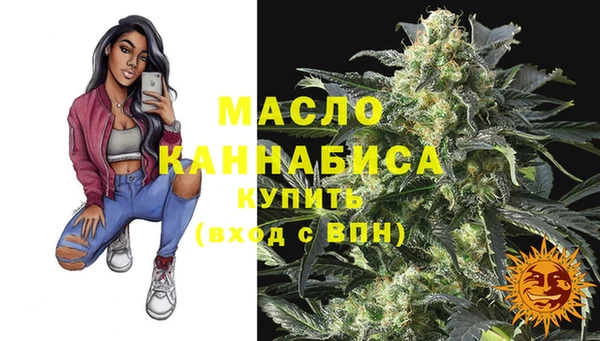 твердый Кропоткин