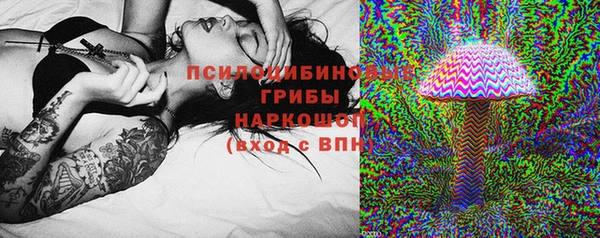 гашик Каменногорск