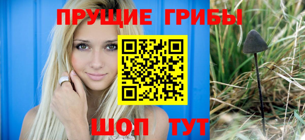Псилоцибиновые грибы Magic Shrooms Советск
