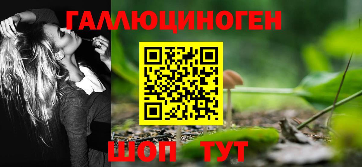 Галлюциногенные грибы ЛСД  Псилоцибиновые грибы мицелий  Советск  Вход с VPN 